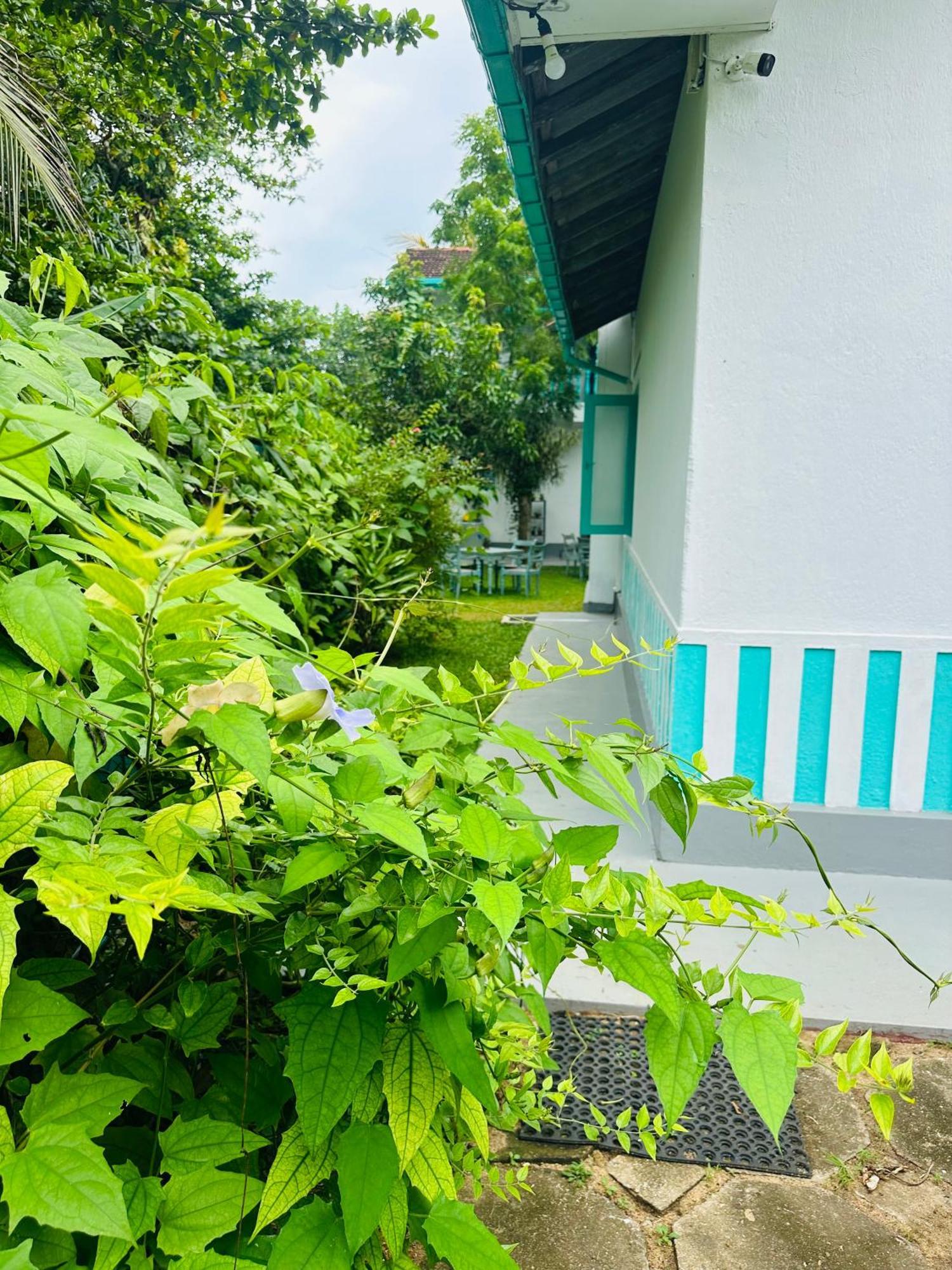 Villa 47 Hikkaduwa Buitenkant foto